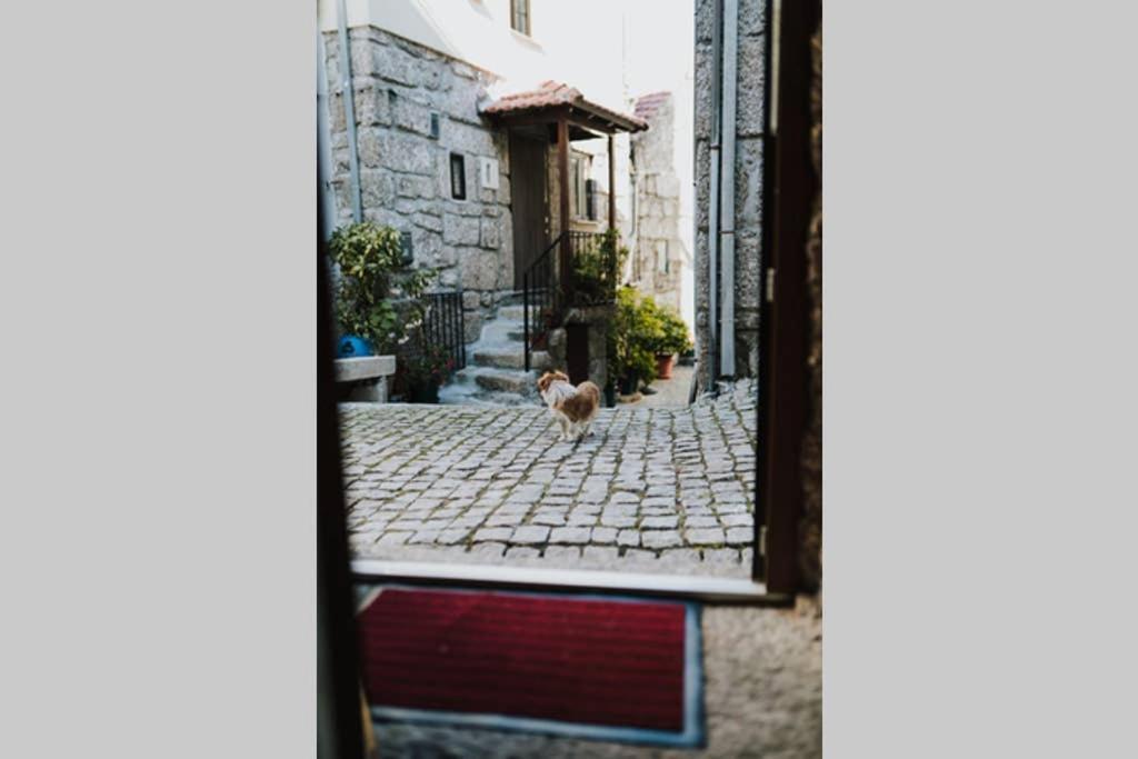 Casa Oeste Sabugueiro  Esterno foto